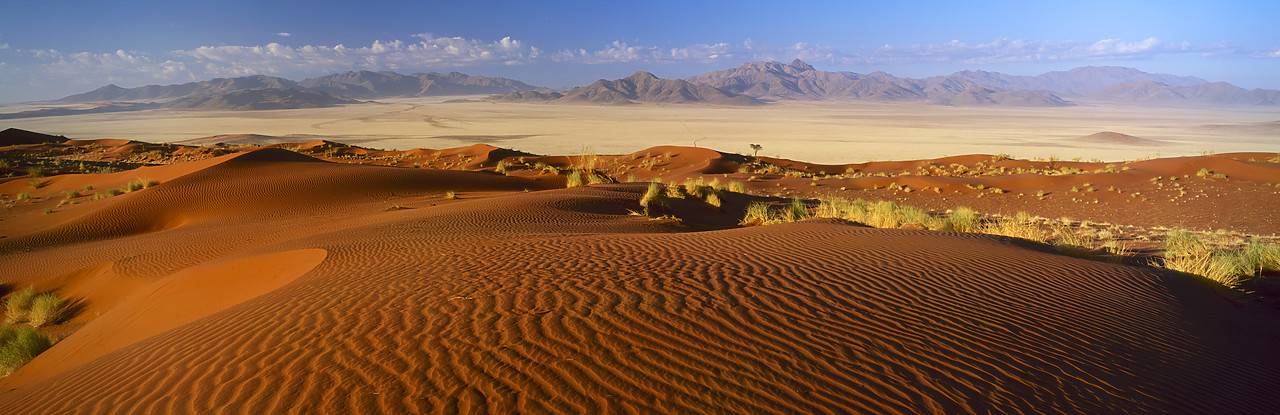 #010007-3 - Sand Dunes, Namib Rand, Namibia, Africa