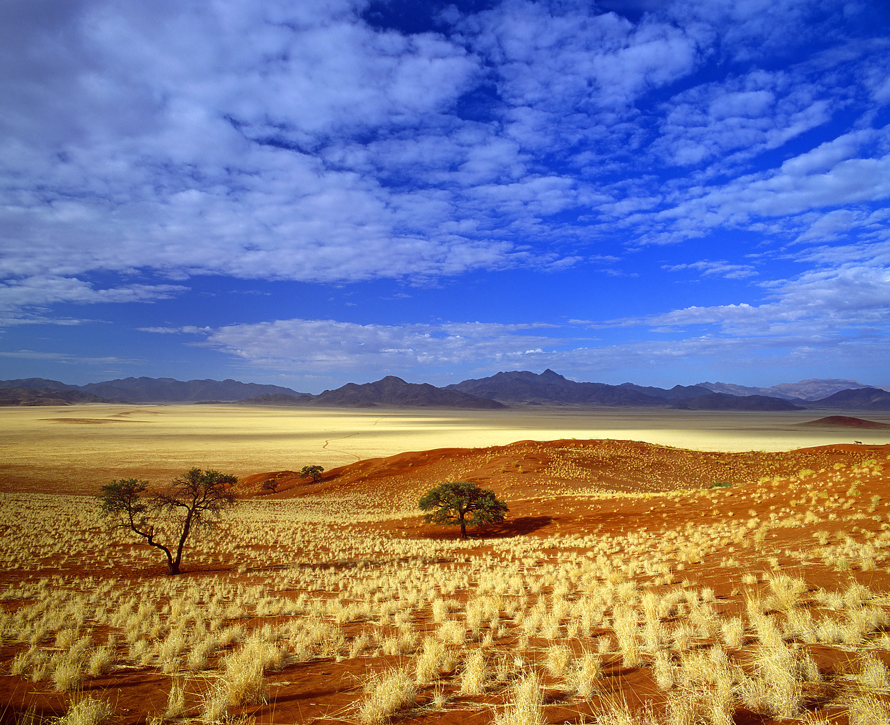 #010011-1 - Namib Desert, Namib Rand, Namibia, Africa
