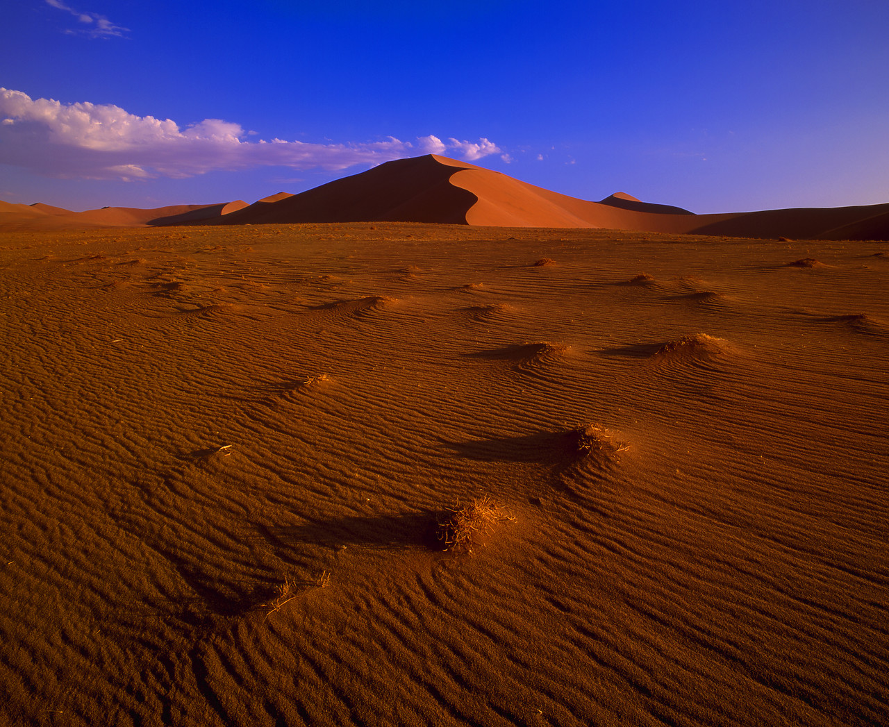 #010054-1 - Sand Dunes, Sossusvlei, Namibia, Africa
