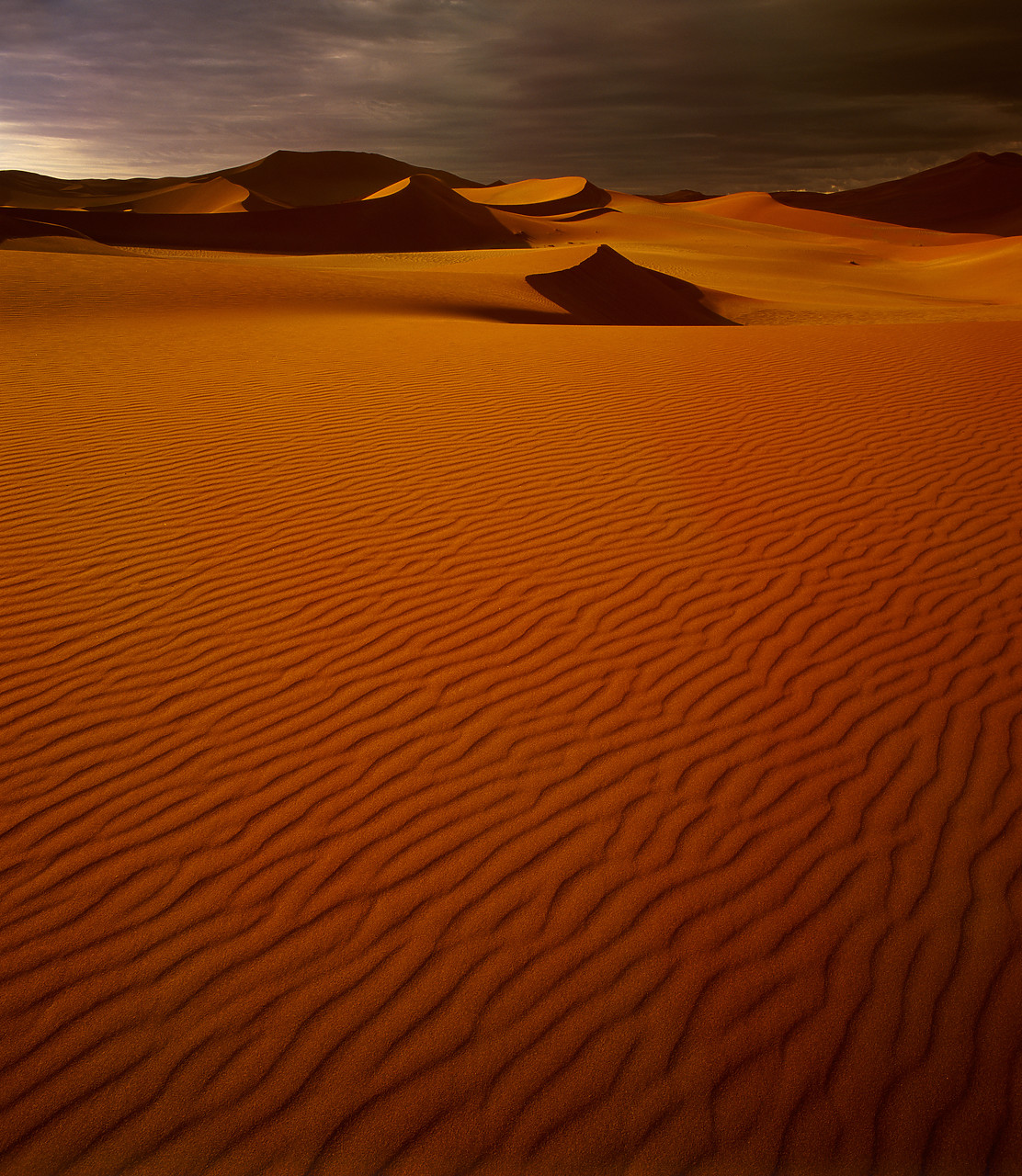 #010062-3 - Sand Dunes, Sossusvlei, Namibia, Africa