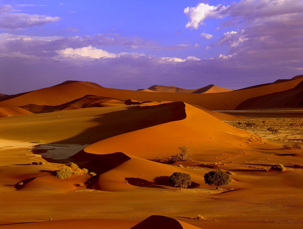 #010065-1 - Sand Dunes, Sossusvlei, Nambia, Africa