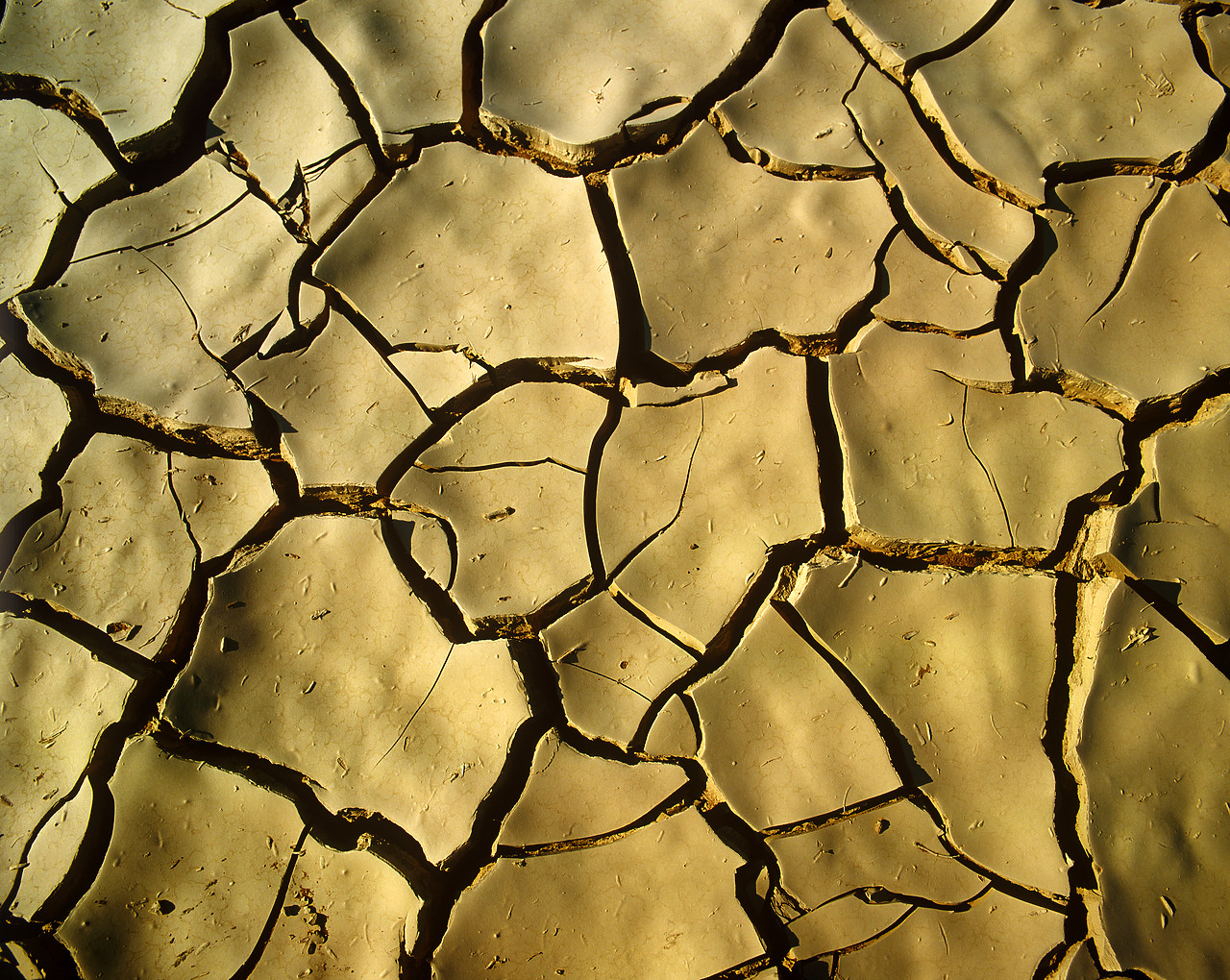 #010070-4 - Dried Cracked Mud, Sossusvlei, Namibia, Africa