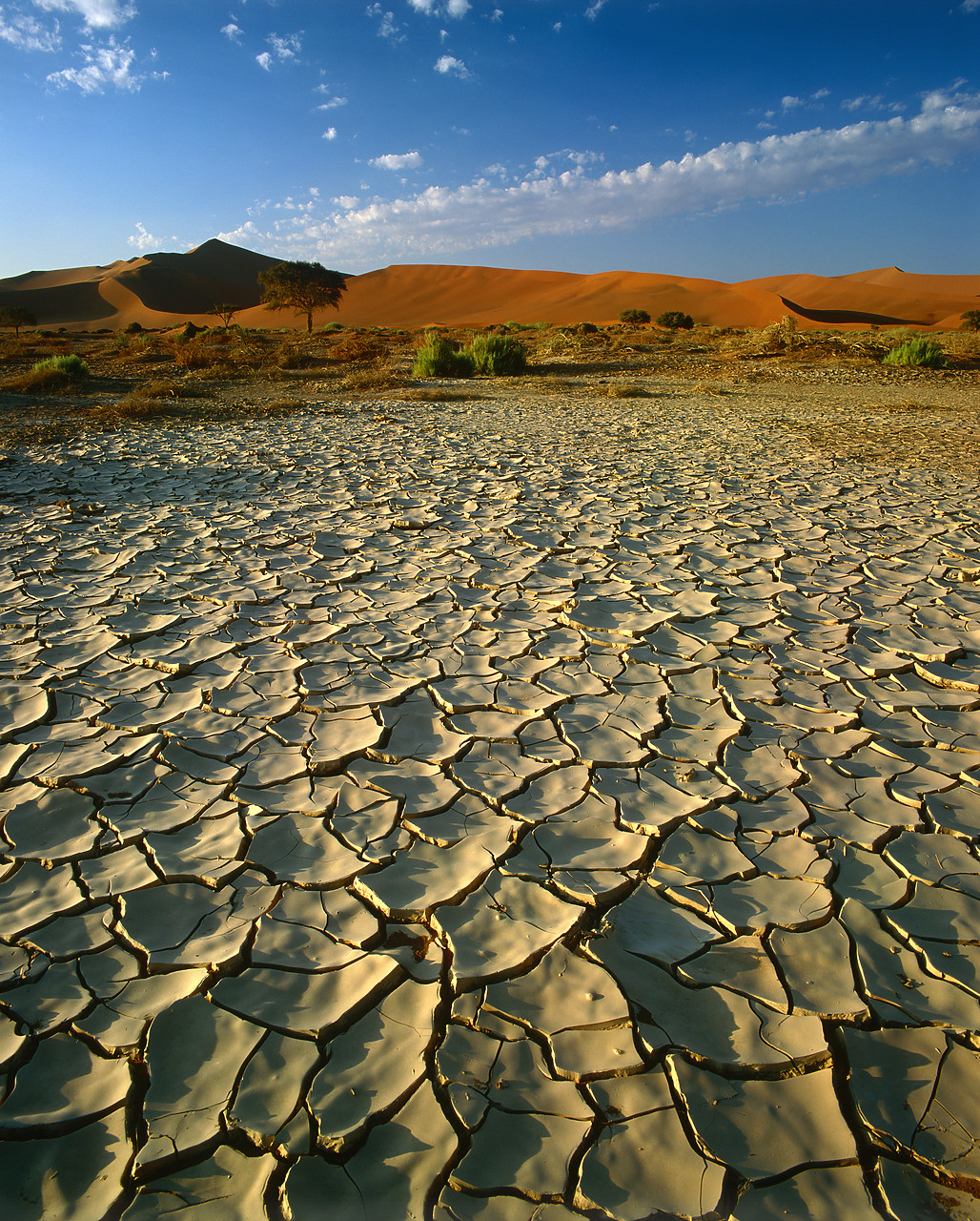 #010073-1 - Cracked Desert Floor & Sand Dunes, Sossusvlei, Namibia, Africa