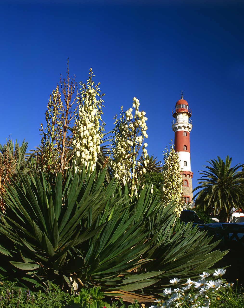 #010096-1 - Lighthouse & Yucca, Swakopmund, Namibia, Africa