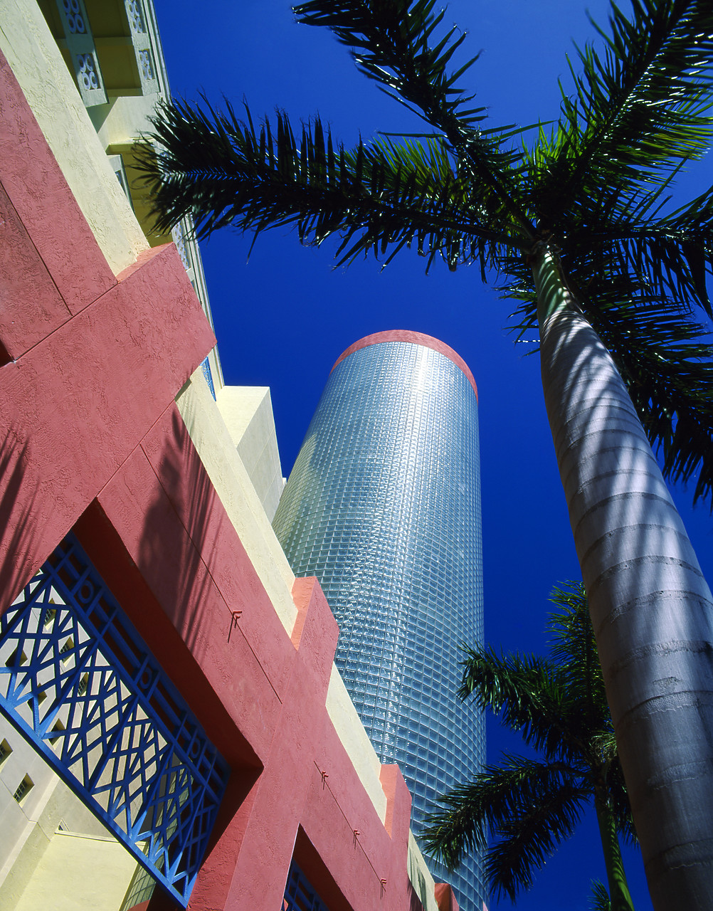 #010186-1 - Art Deco Building & Palm Tree, Miami, Florida, USA