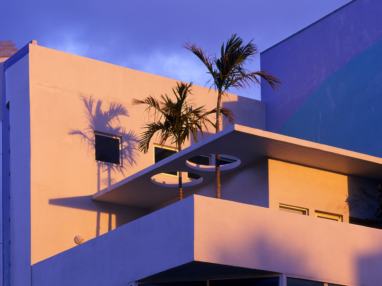 #010195-1 - Art Deco Building & Palm Trees, Miami, Florida, USA