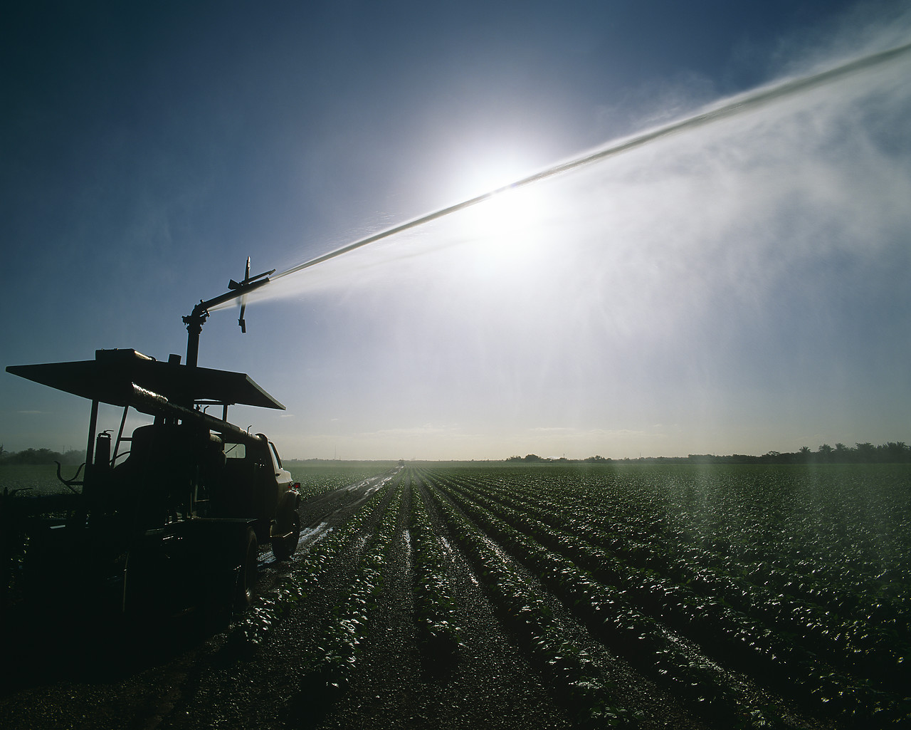 #010249-1 - Irrigating Field, Florida City, Florida, USA