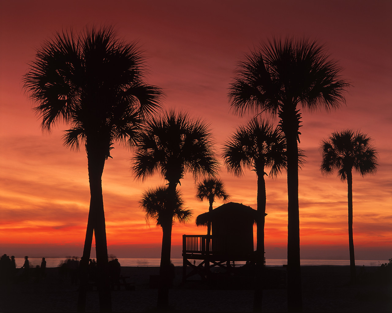 #010279-3 - Lifeguard Hut & Palms at Sunset, Siesta Key, Florida, USA