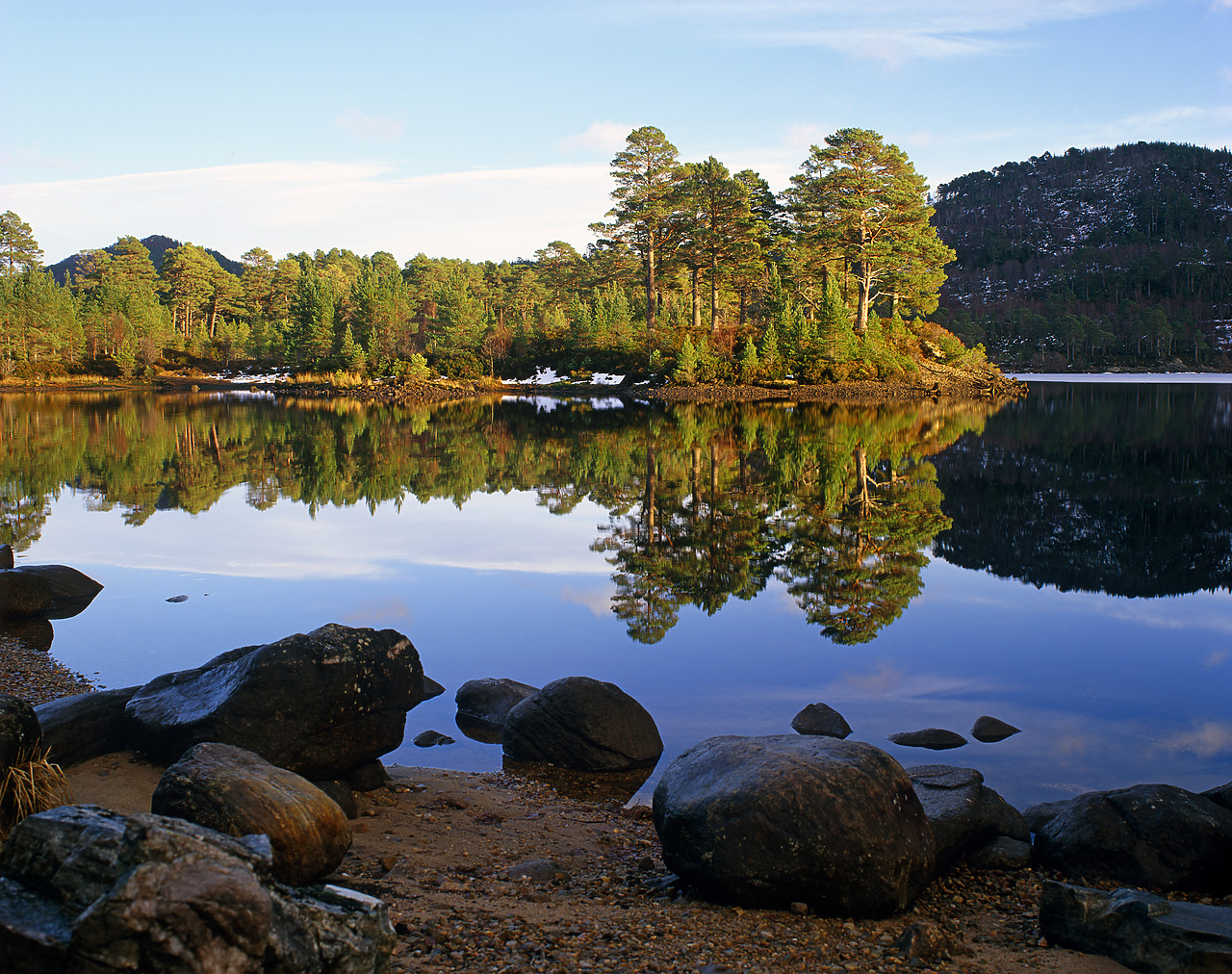 #010300-2 - Caledonian Pines Reflecting in Loch, Glen Affric, Highland Region, Scotland