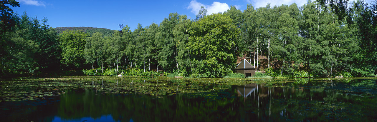 #010669-1 - Loch Dunmore Reflections, Pitlochry, Tayside Region, Scotland