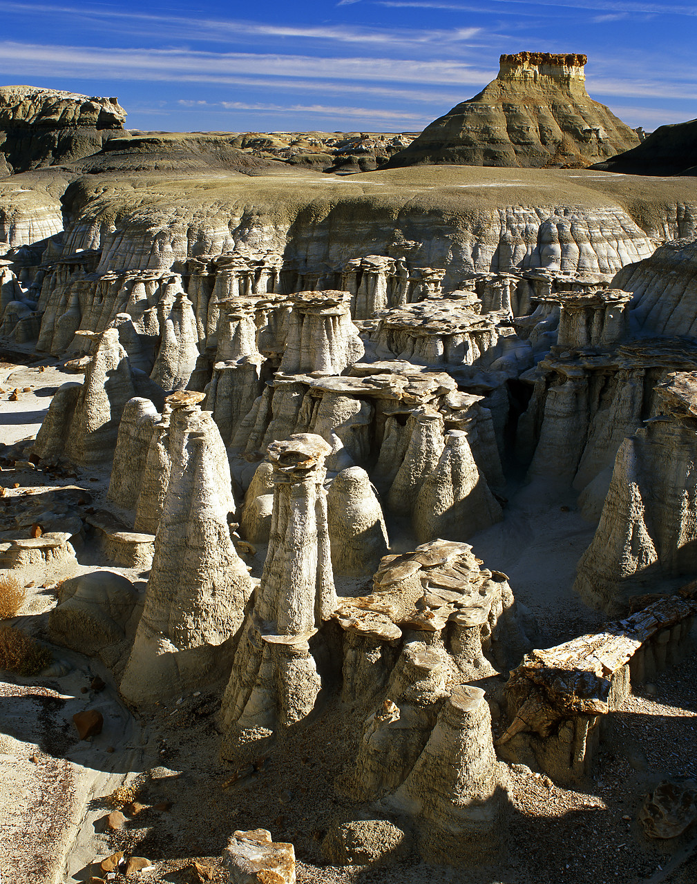 #010746-3 - Valley of Hoodoos, Bisti Wilderness Area, New Mexico, USA