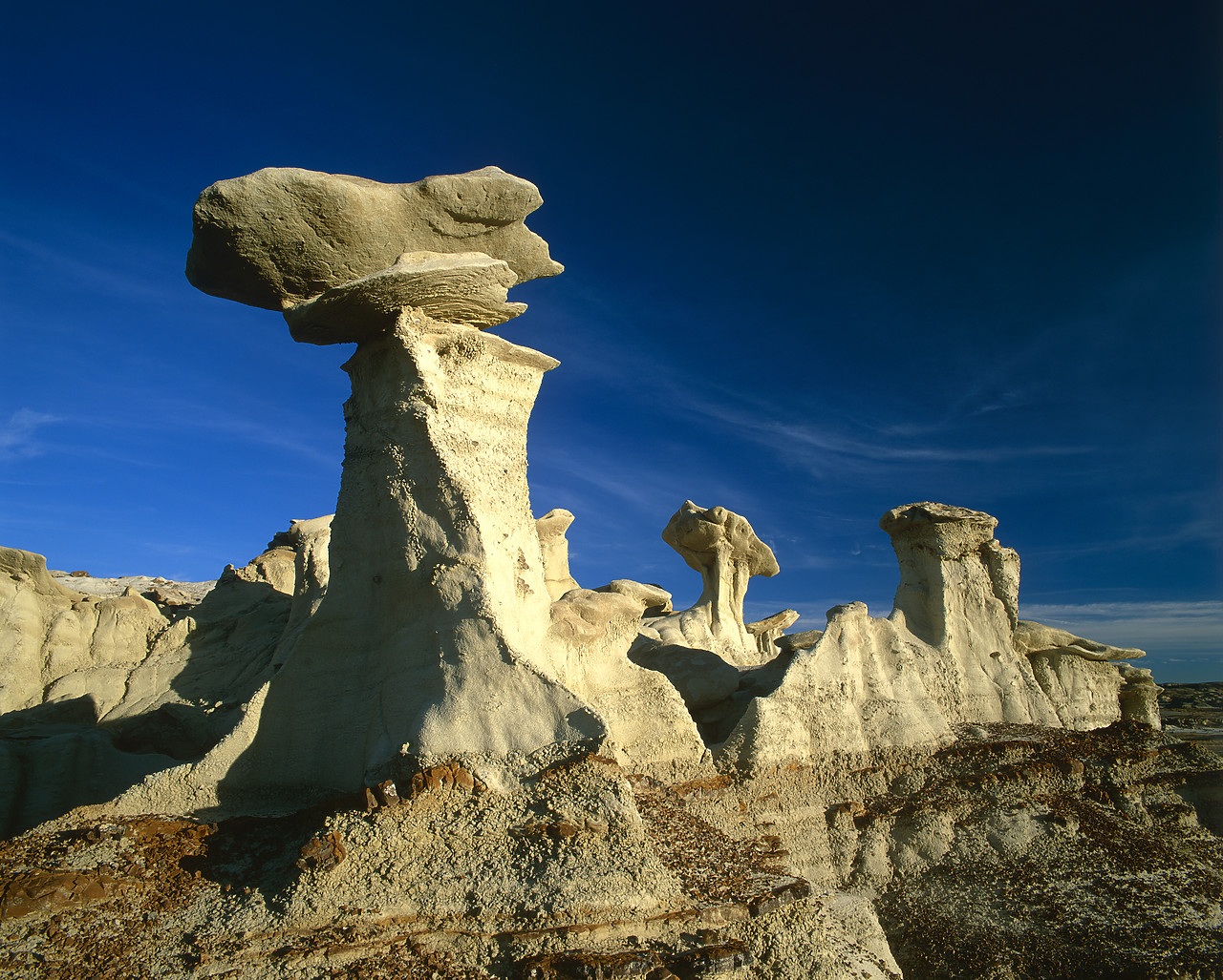#010751-1 - Balanced Rock, Bisti Wilderness Area, New Mexico, USA