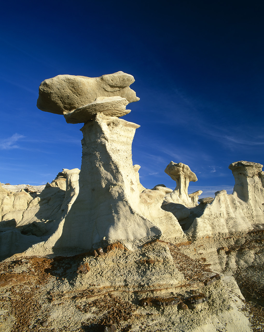 #010751-7 - Balanced Rock, Bisti Wilderness Area, New Mexico, USA