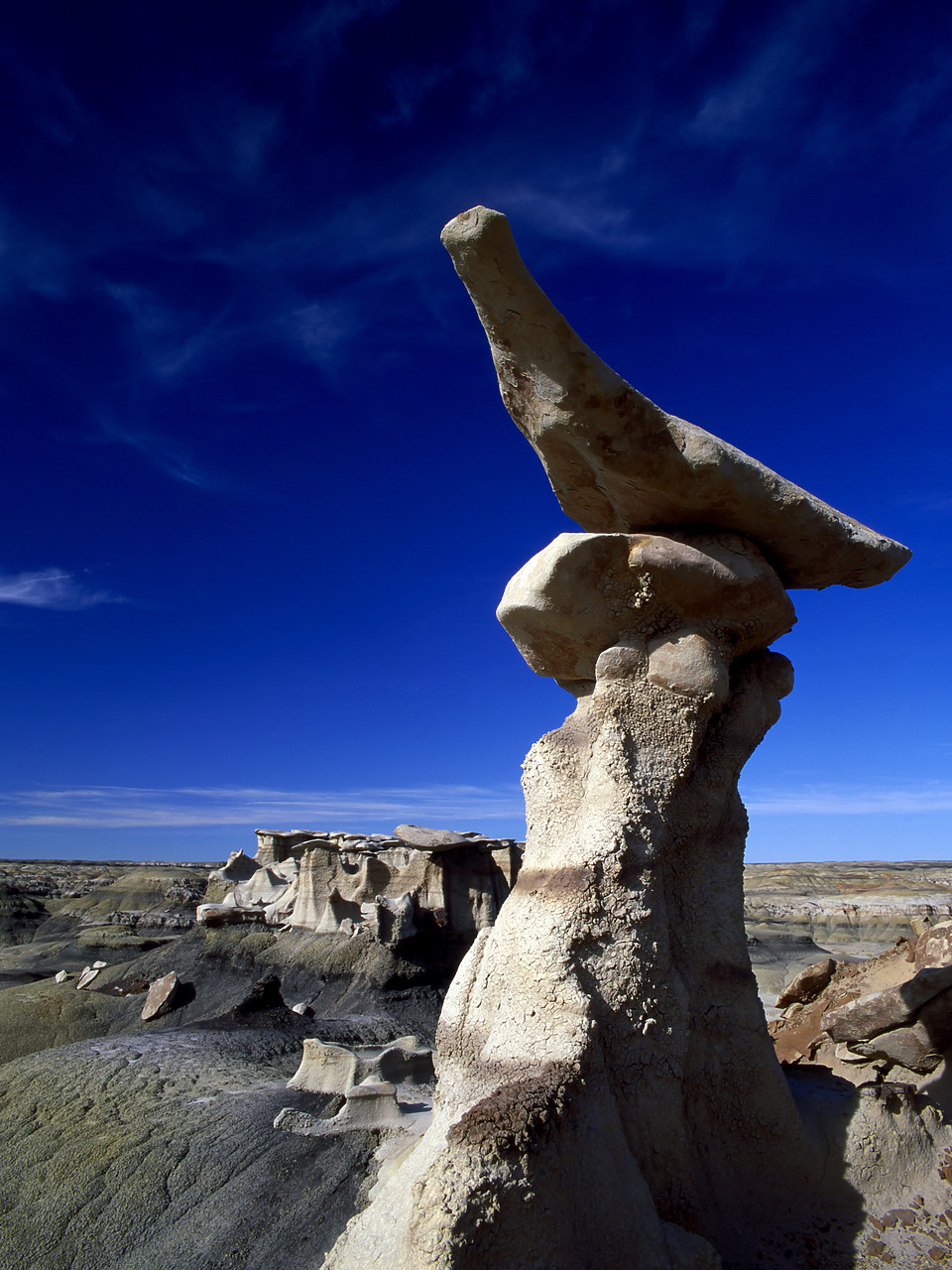 #010752-2 - Balanced Rock, Bisti wilderness Area, New Mexico, USA