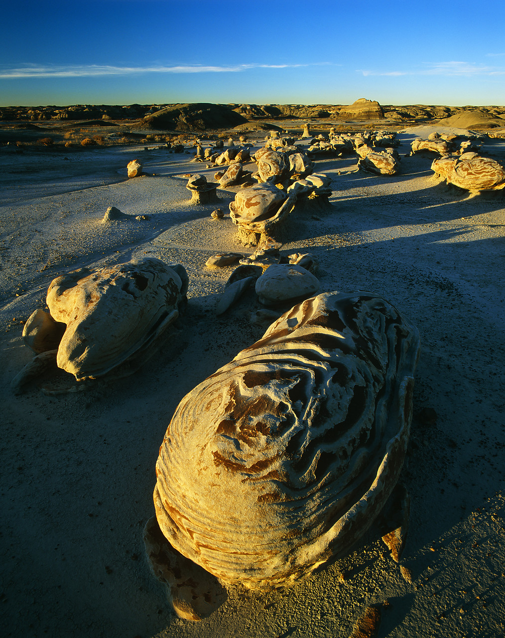 #010757-1 - Sand Stone Shapes, Bisti Wilderness Area, New Mexico, USA