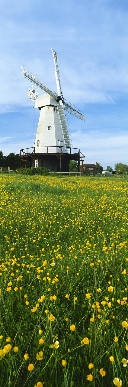 #020076-10 - Windmill & Field of Buttercups, Woodchurch, Kent, England