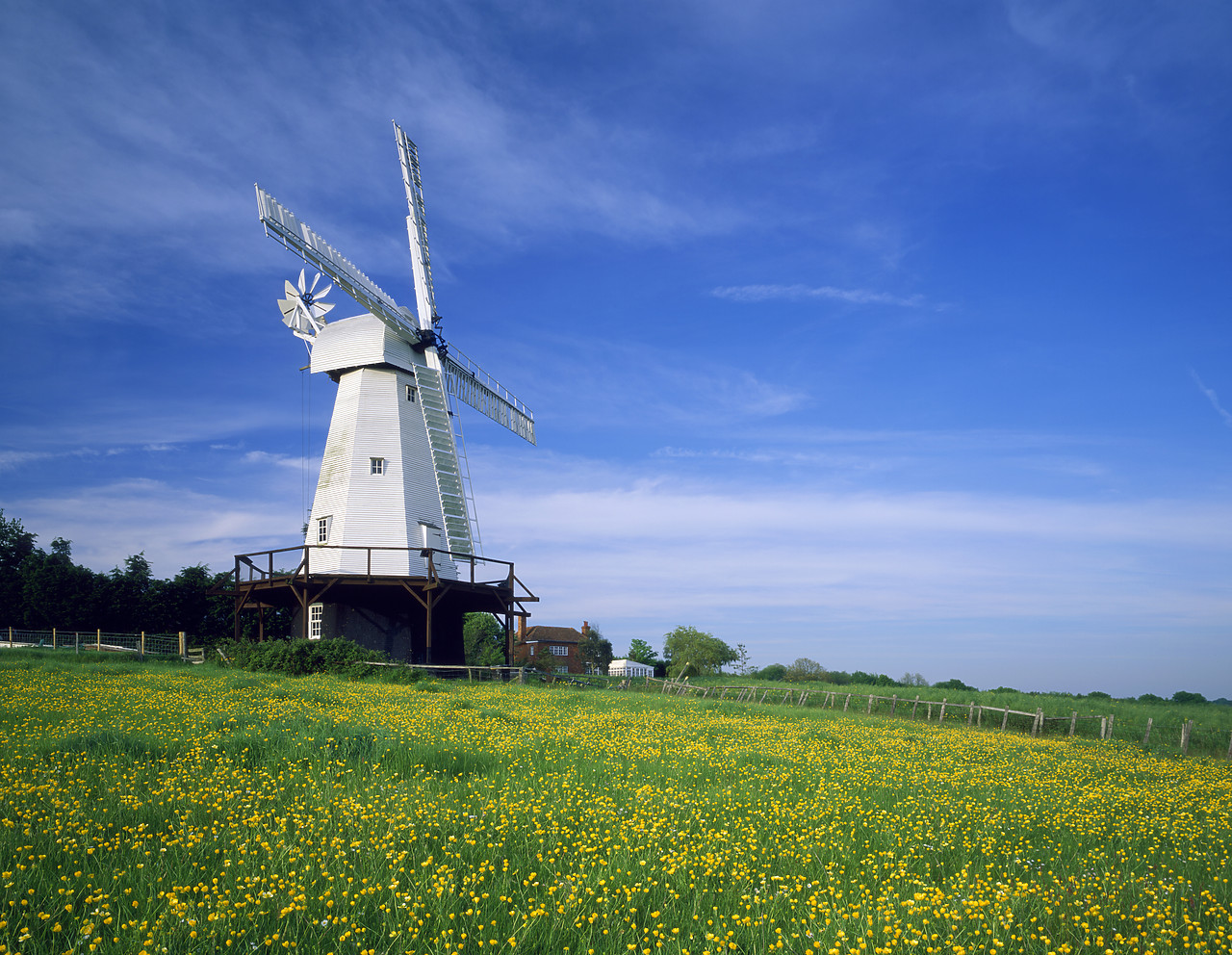 #020076-4 - Windmill & Field of Buttercups, Woodchurch, Kent, England