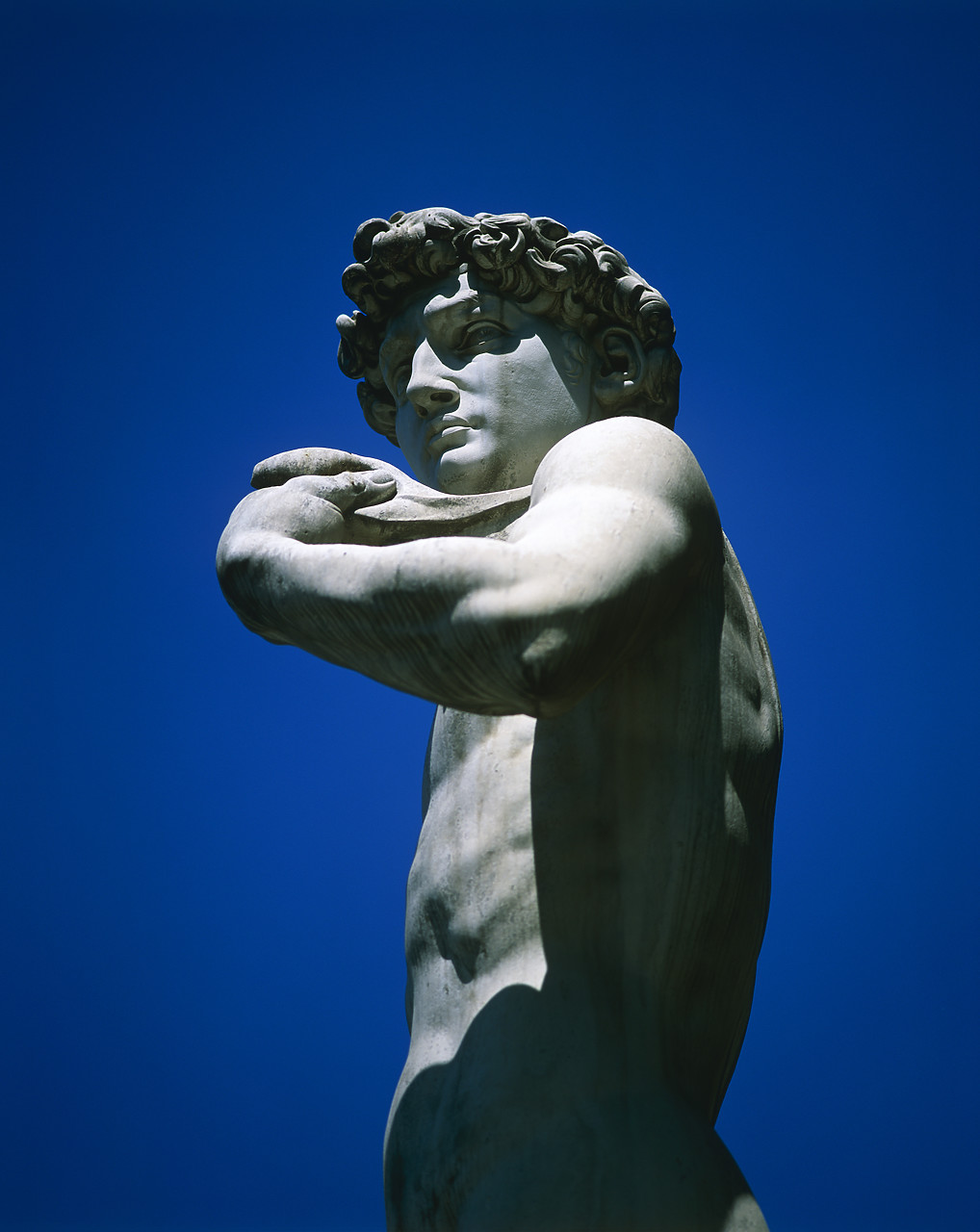 #020087-1 - Michael Angelo's Statue of David, Florence, Italy