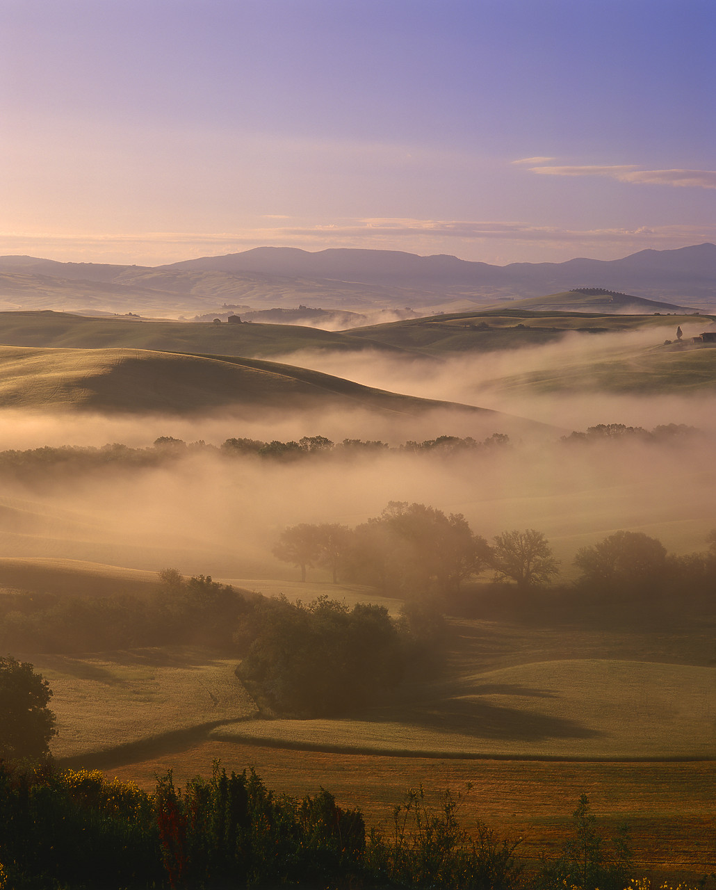 #020148-2 - Valley in Morning Mist, San Quirico, Tuscany, Italy