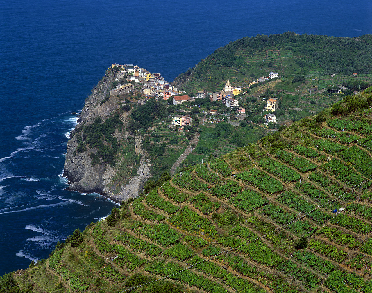 #020152-2 - Terraced Vineyards above Corniglia, Cinque Terre, Liguria, Italy