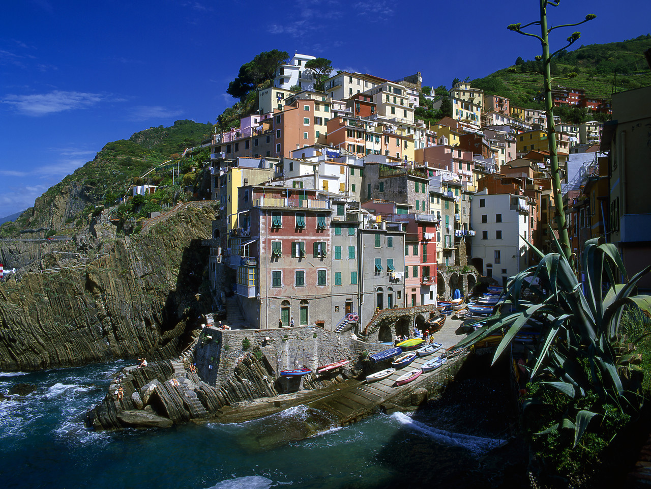 #020175-1 - Riomaggiore, Cinque Terre, Liguria, Italy