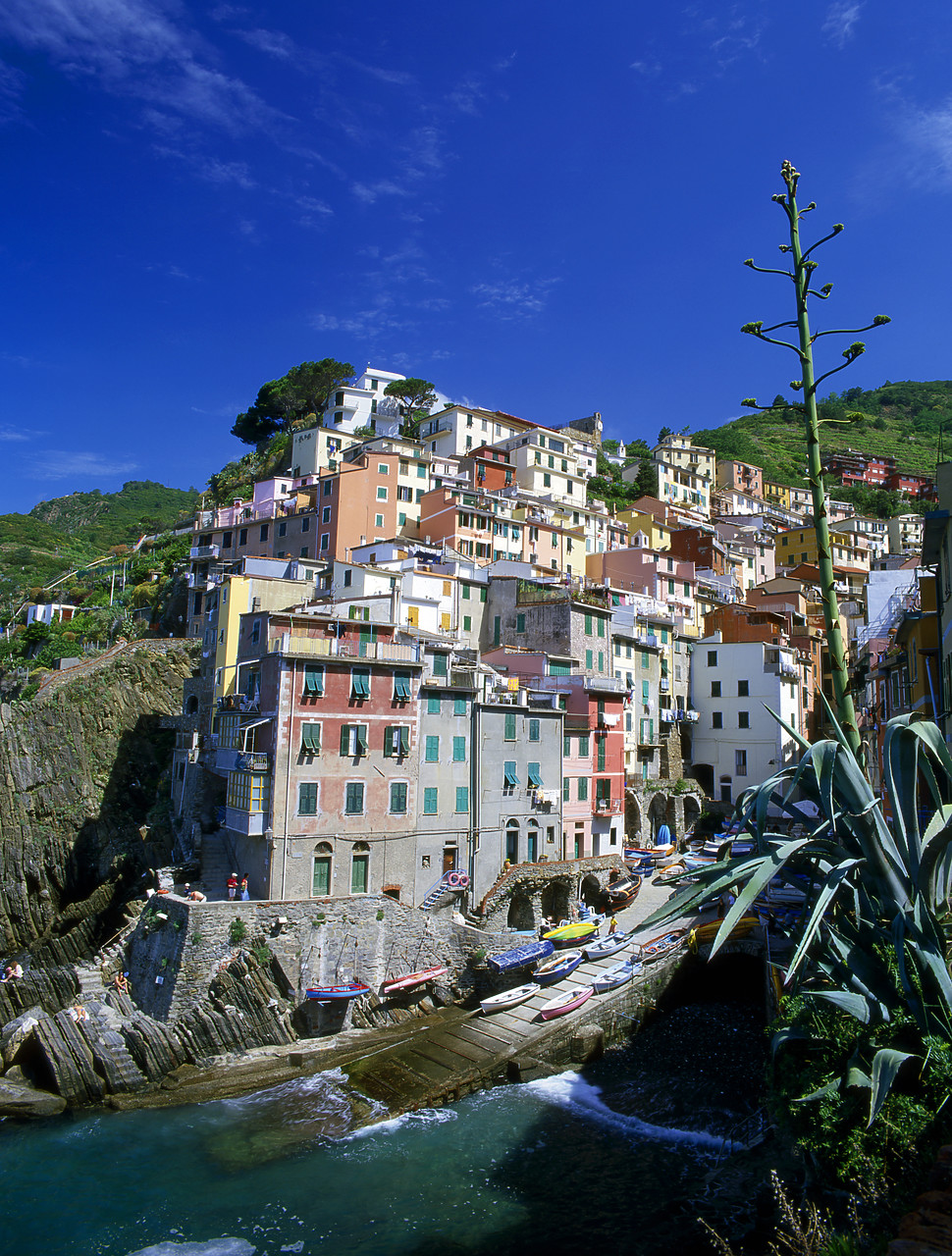 #020175-2 - Riomaggiore, Cinque Terre, Liguria, Italy