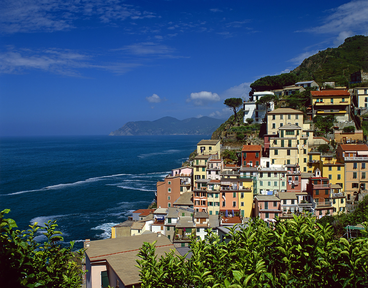 #020176-2 - Riomaggiore, Cinque Terre, Liguria, Italy