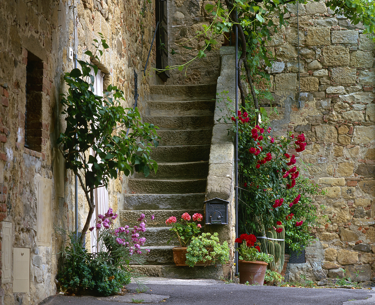 #020205-1 - Stone Staircase & Flowers, Monticchiello, Tuscany, Italy