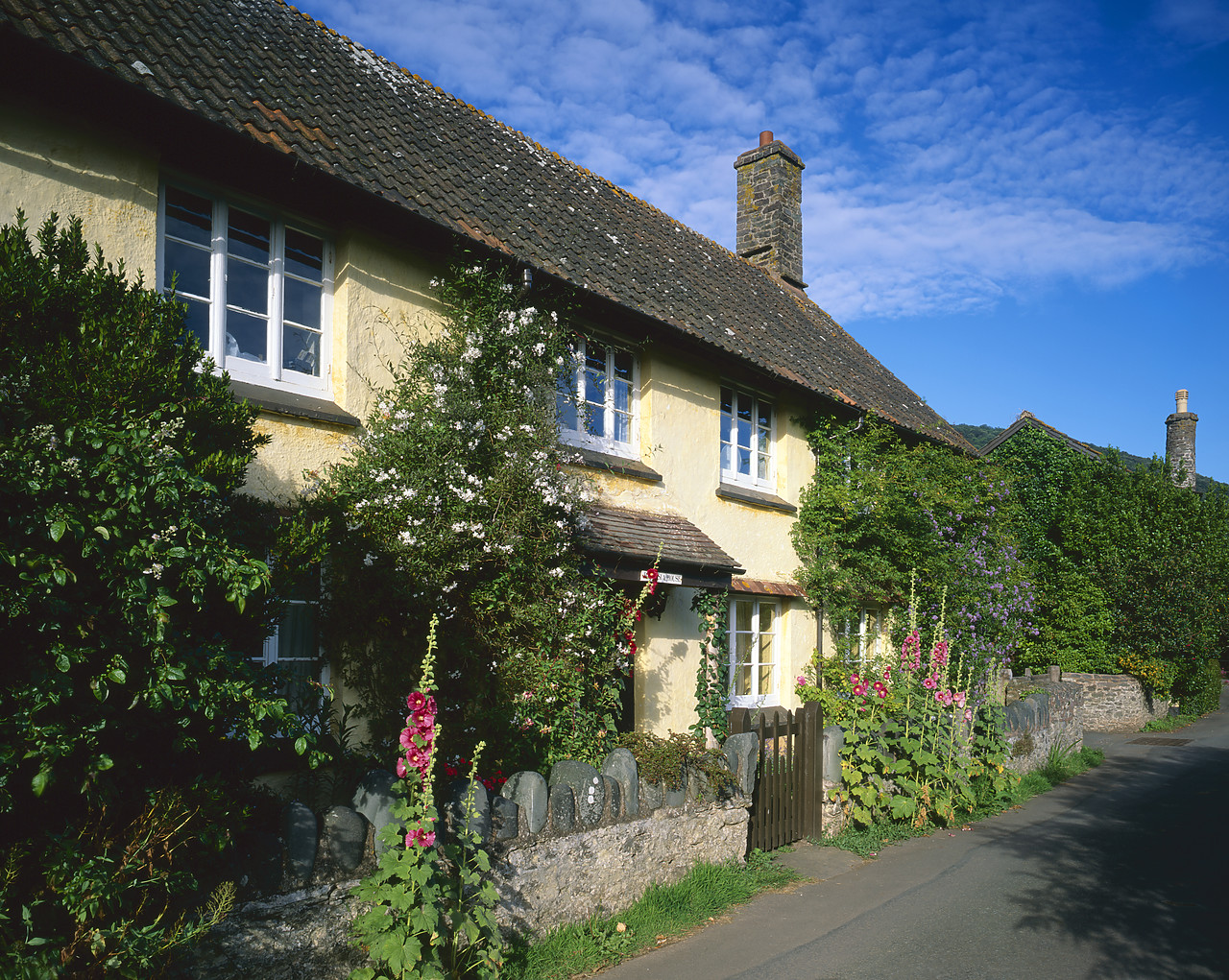 #020628-2 - Bossington, Somerset, England