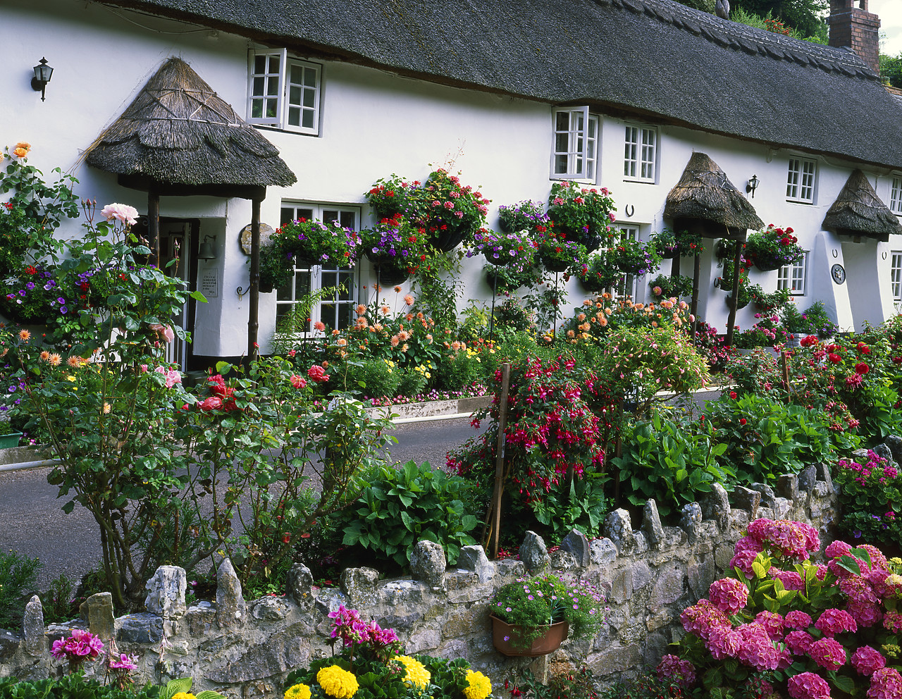 #020630-1 - Coombe Cottage, Branscombe, Devon, England