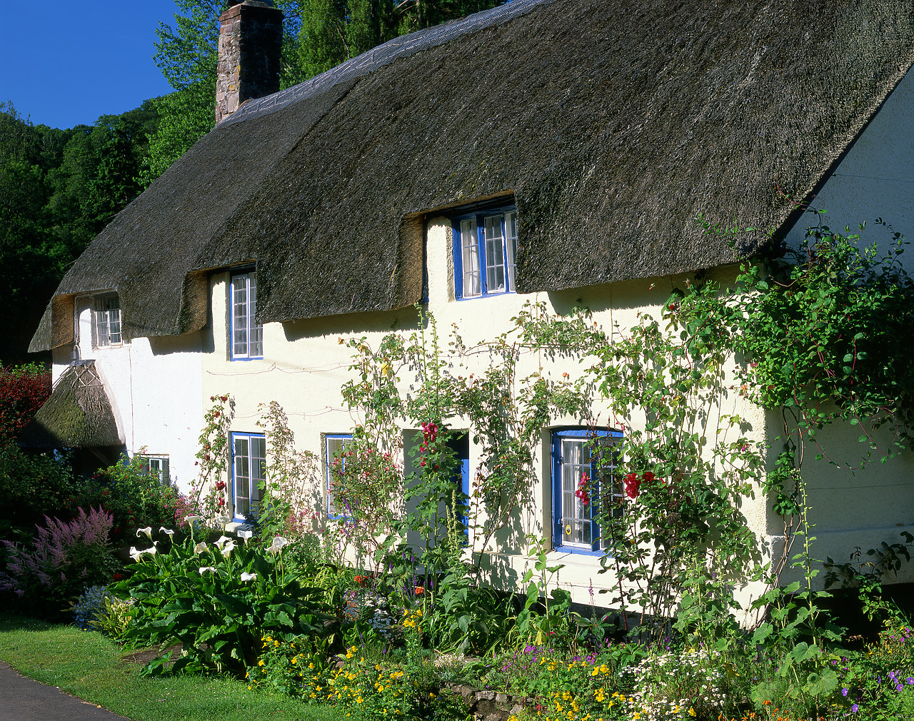 #020638-3 - Thatch Cottage, Dunster, Somerset, England