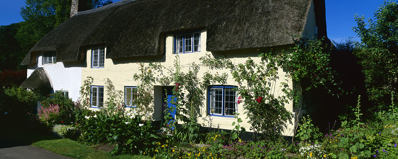 #020638-9 - Thatch Cottage, Dunster, Somerset, England