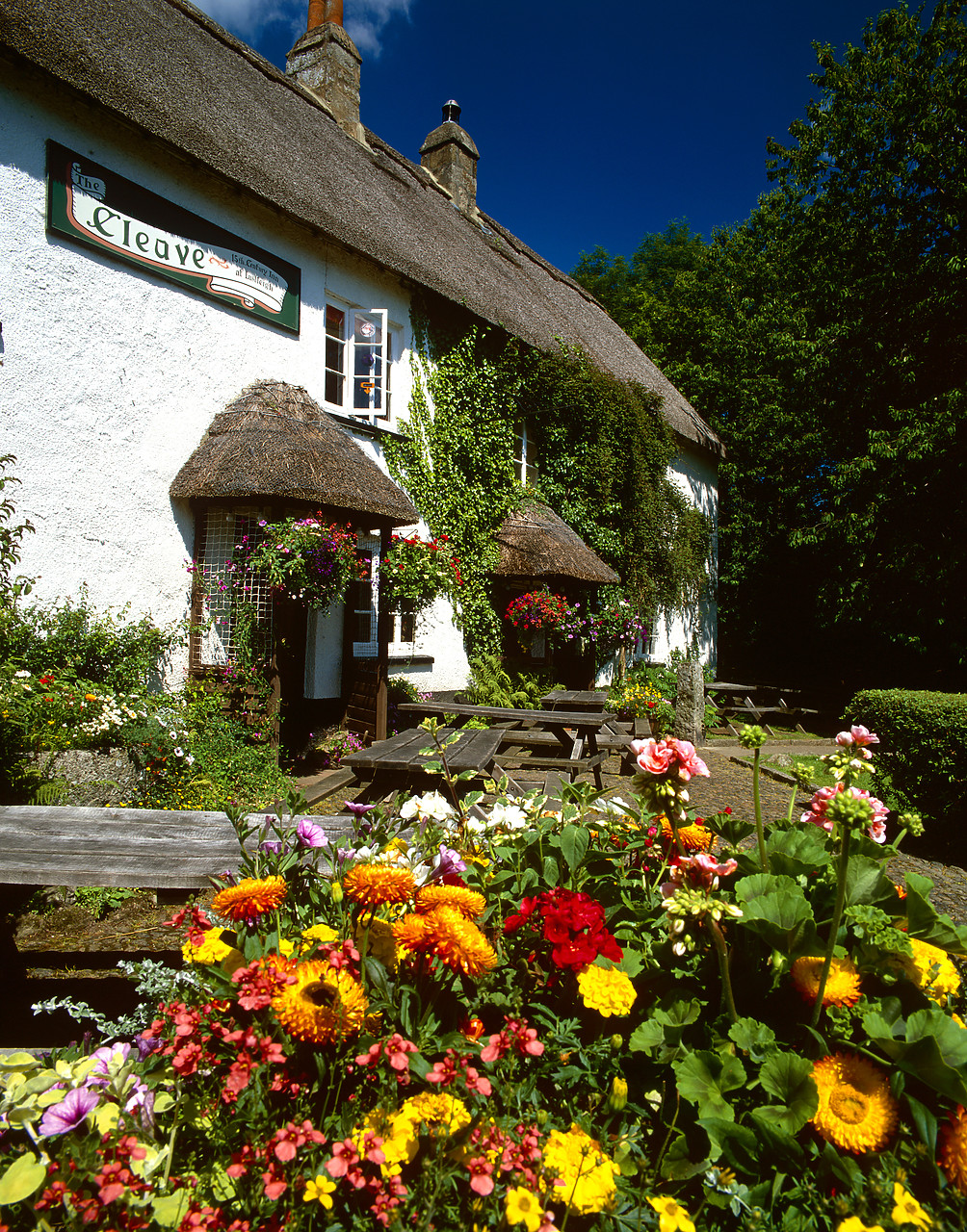#020641-2 - The Cleave Inn, Lustleigh, Devon, England