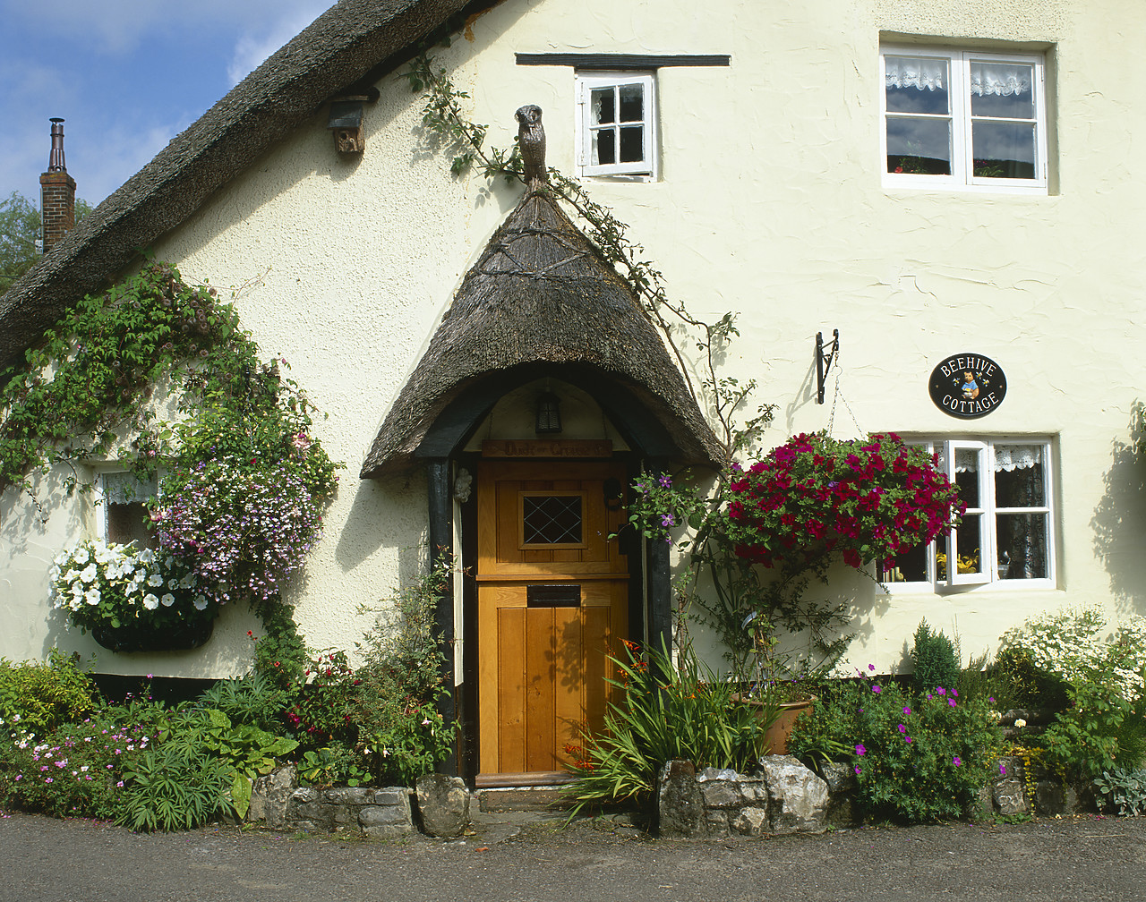 #020660-1 - Beehive Cottage, Branscombe, Devon, England