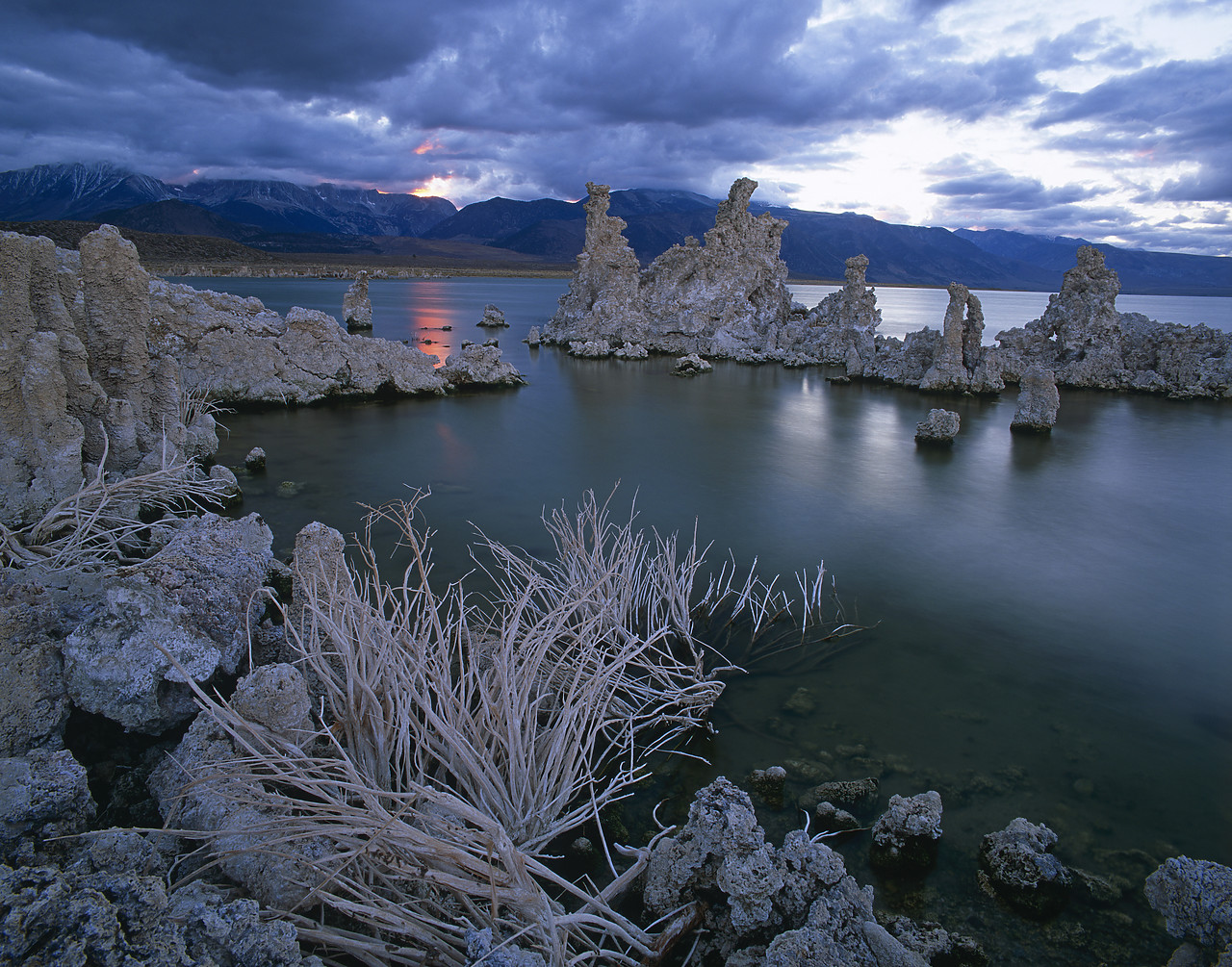 #020717-2 - Tufa Formations, Mono Lake, California, USA