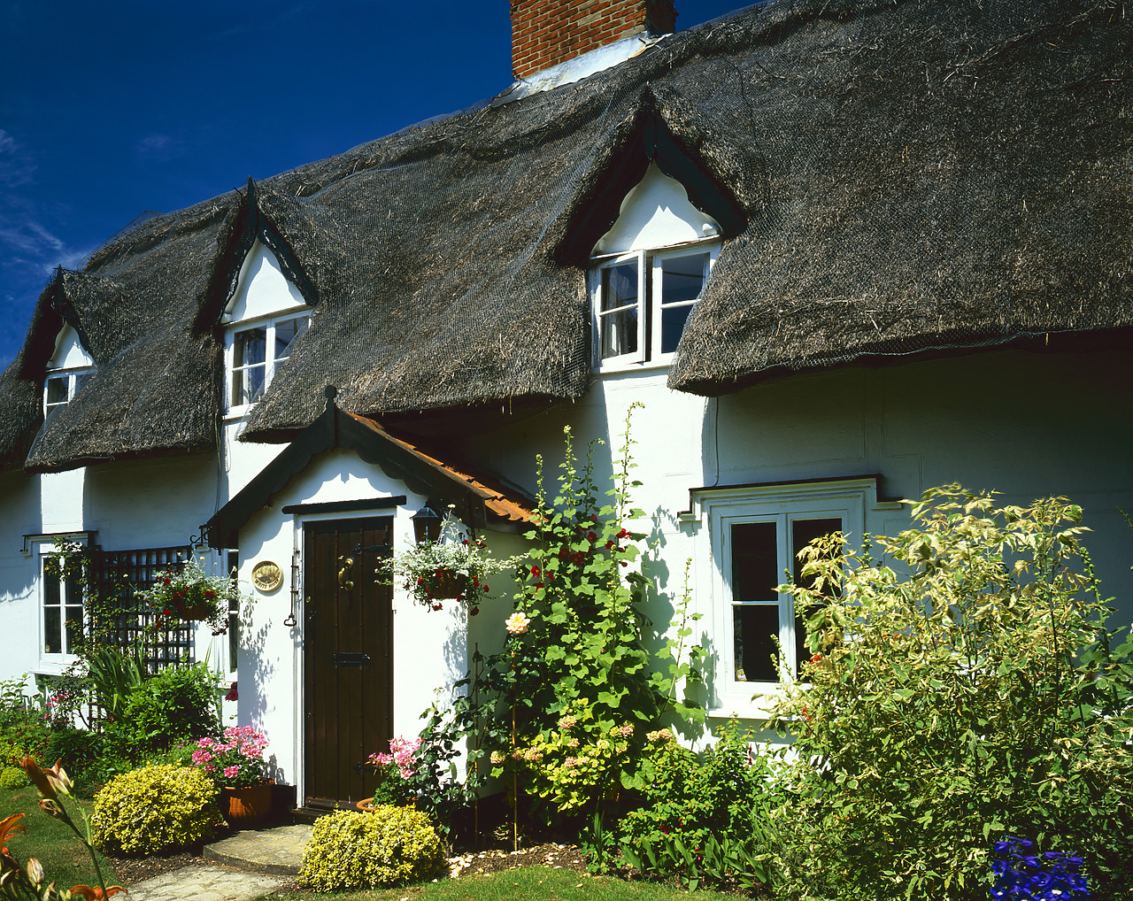 #030129-1 - The White House Cottage, Walsham le Willows, Suffolk, England