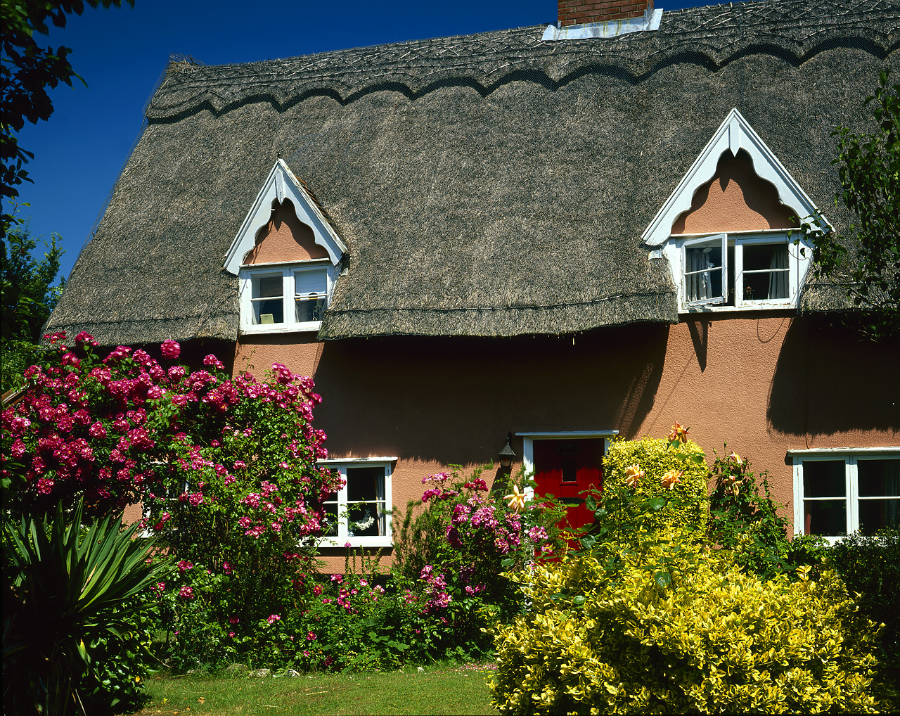 #030131-1 - Thatched Cottage & Garden, Redgrave, Suffolk, England