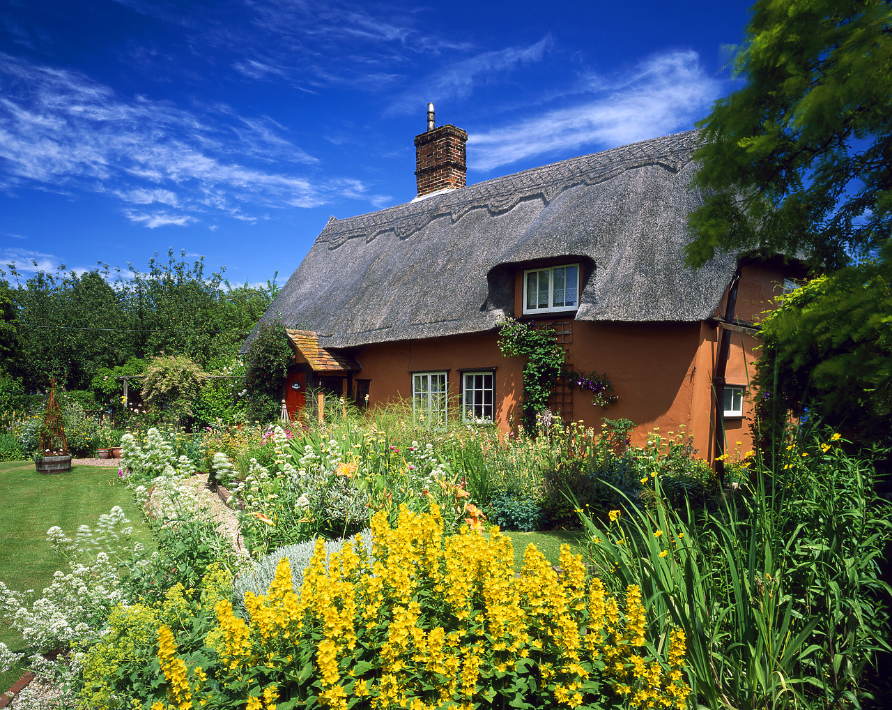 #030136-1 - Thatch Cottage & Garden, Suffolk, England