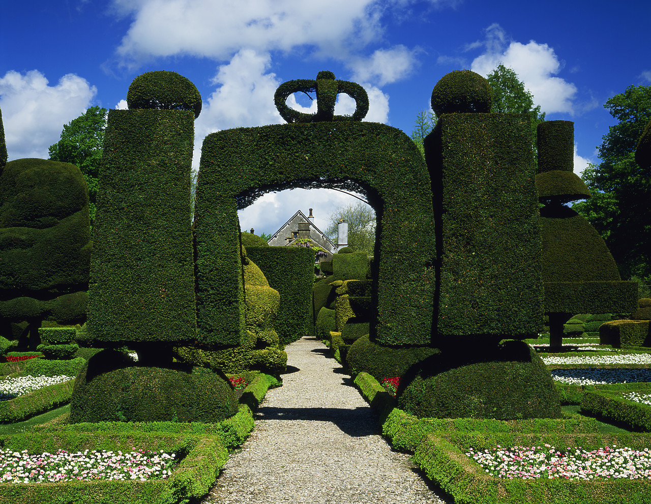 #030137-2 - Topiary Gardens, Levens Hall, Cumbria, England