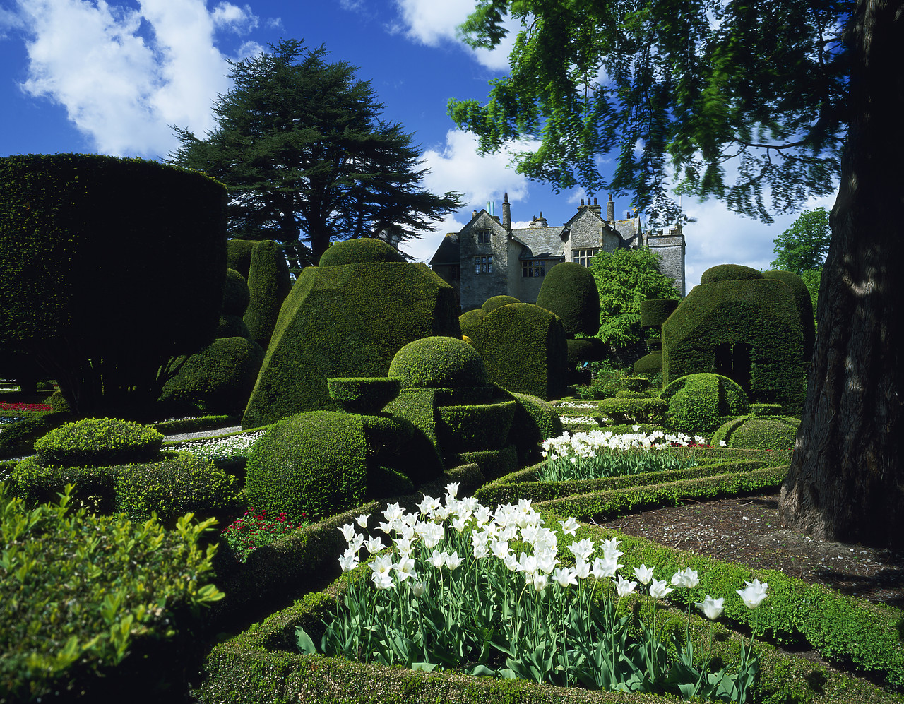 #030138-2 - Topiary Gardens, Levens Hall, Cumbria, England