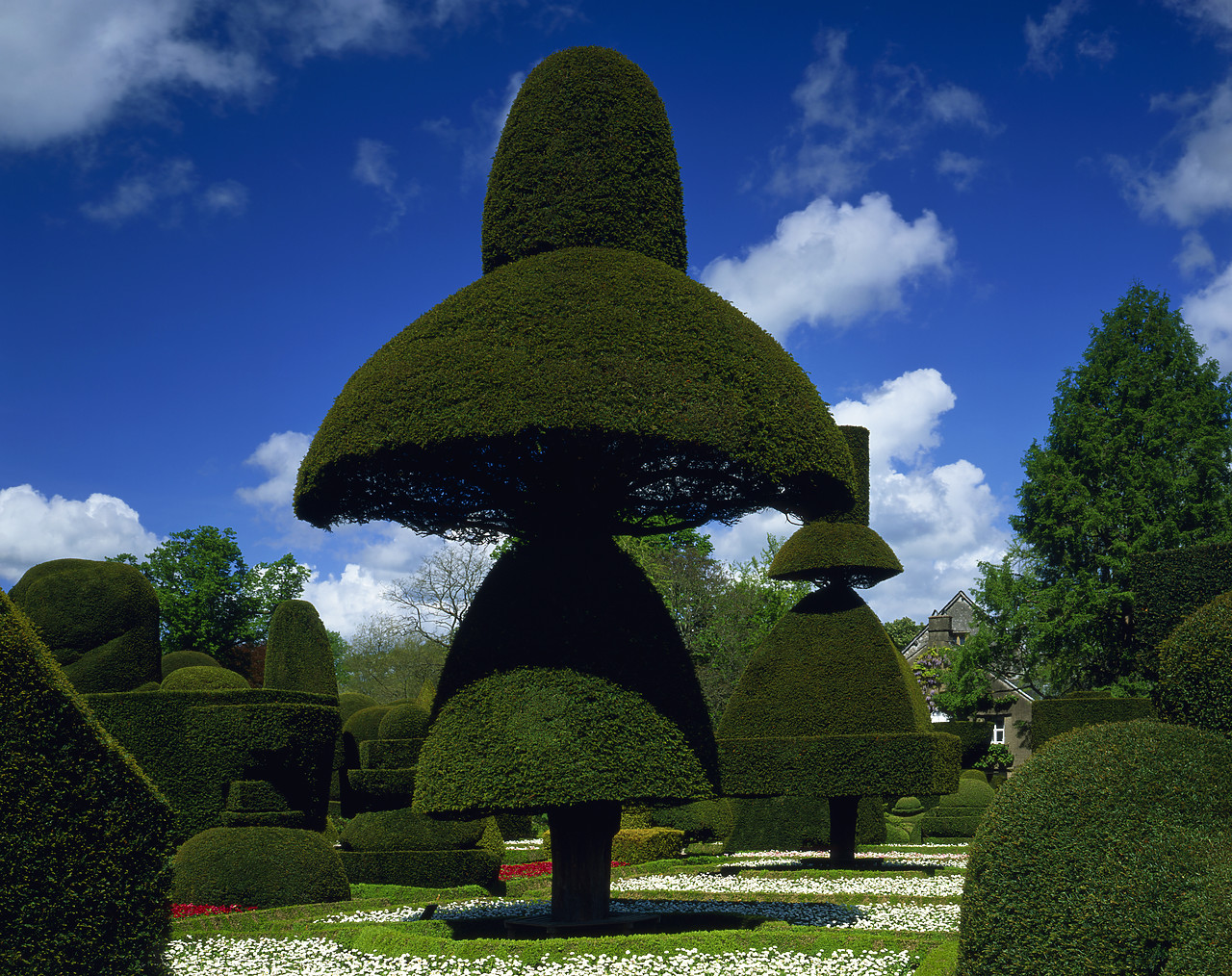 #030141-2 - Topiary Garden, Levens Hall, Cumbria, England