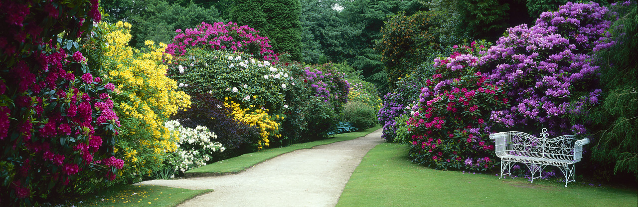 #030195-5 - Hare Hill Gardens in Spring, near Prestbury, Cheshire, England
