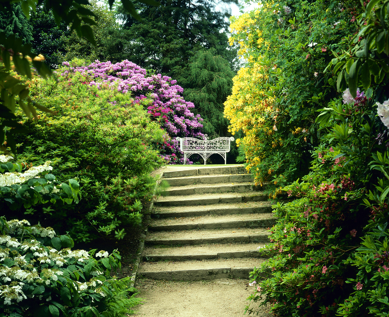 #030196-1 - Hare Hill Gardens in Spring, near Prestbury, Cheshire, England
