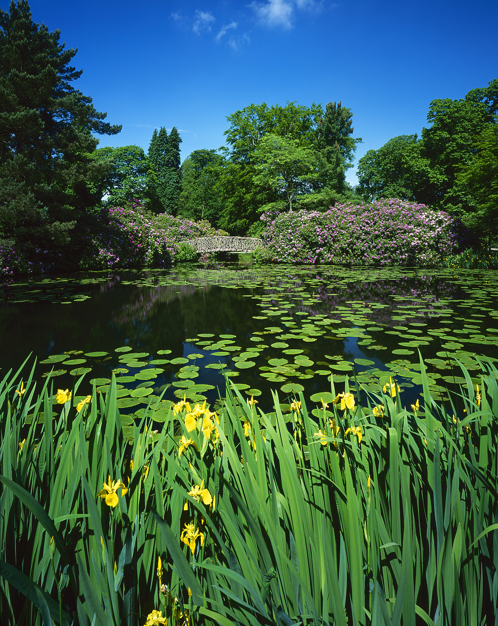 #030200-5 - Tatton Park In Spring, Cheshire, England