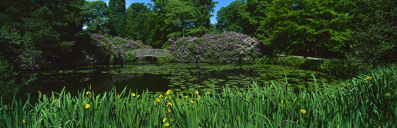#030200-6 - Tatton Park Garden in Spring, Cheshire, England