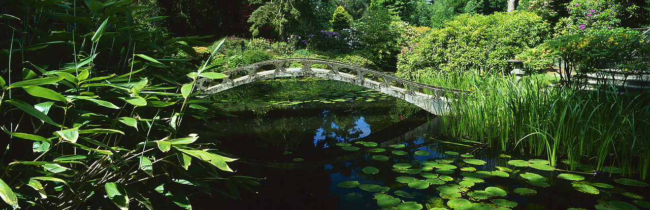 #030203-2 - Bridge in Japanese Garden, Tatton Park, Cheshire, England