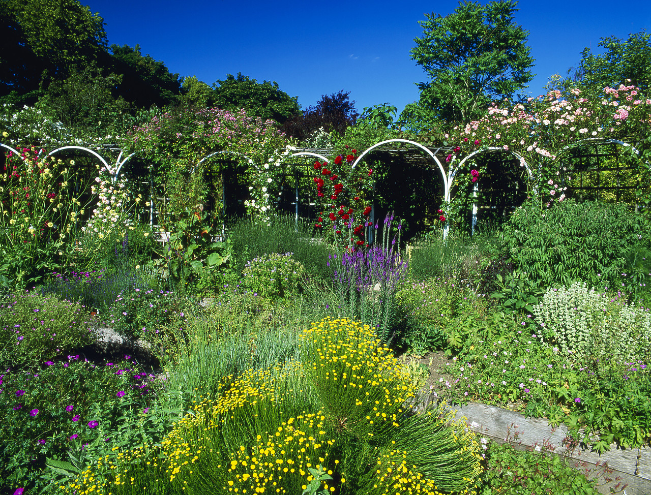 #030214-1 - Abbey Gardens, Malmesbury, Wiltshire, England