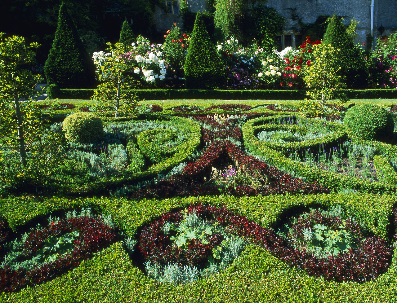 #030215-1 - Abbey Gardens, Malmesbury, Wiltshire, England