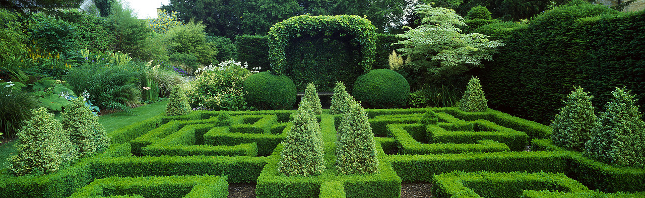 #030222-2 - Bourton House Garden, Bourton-on-the-Hill, Gloucestershire, England