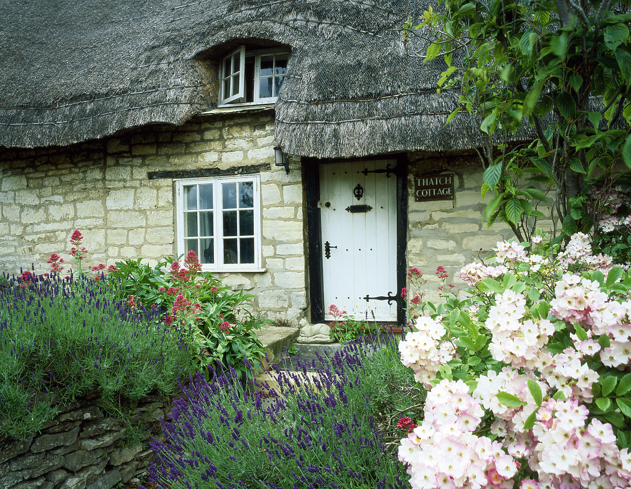 #030235-2 - Cotswold Cottage & Garden, Upton St. Leonards, Gloucestershire, England